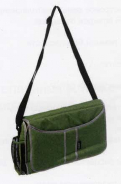 Коляска с люлькой переноской Geoby C601H